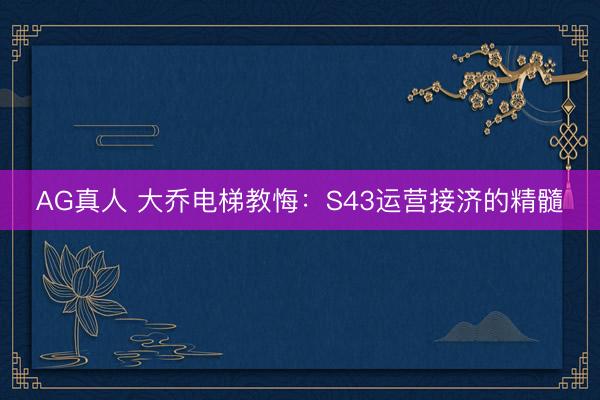 AG真人 大乔电梯教悔:S43运营接济的精髓