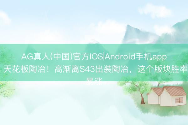 AG真人(中国)官方IOS|Android手机app下载 天花板陶冶！高渐离S43出装陶冶，这个版块胜率暴涨