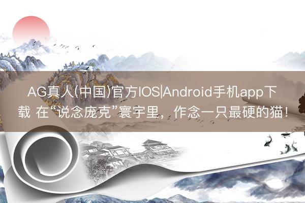 AG真人(中国)官方IOS|Android手机app下载 在“说念庞克”寰宇里，作念一只最硬的猫！