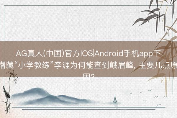 AG真人(中国)官方IOS|Android手机app下载 潜藏“小学教练”李涯为何能查到峨眉峰， 主要几点原因?