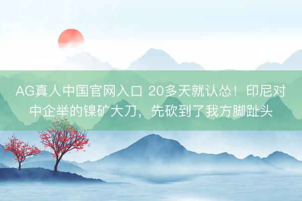 AG真人中国官网入口 20多天就认怂！印尼对中企举的镍矿大刀，先砍到了我方脚趾头