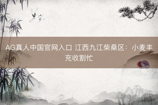 AG真人中国官网入口 江西九江柴桑区：小麦丰充收割忙