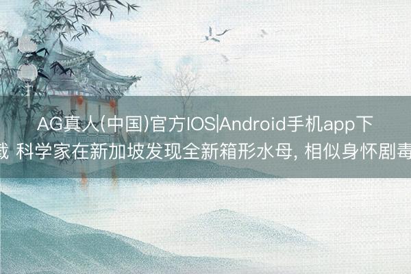 AG真人(中国)官方IOS|Android手机app下载 科学家在新加坡发现全新箱形水母， 相似身怀剧毒!