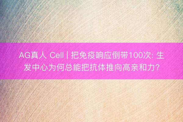 AG真人 Cell | 把免疫响应倒带100次: 生发中心为何总能把抗体推向高亲和力?