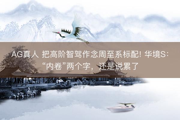 AG真人 把高阶智驾作念周至系标配! 华境S：“内卷”两个字，还是说累了