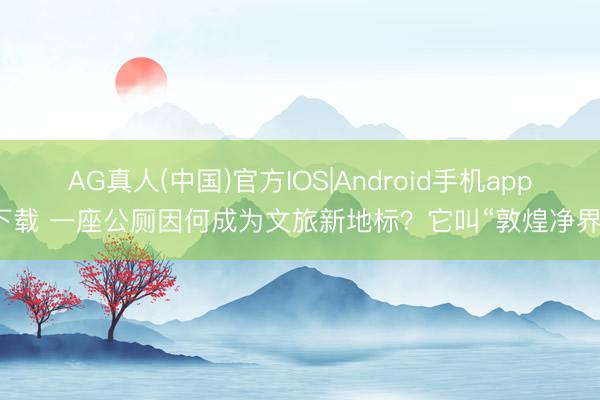 AG真人(中国)官方IOS|Android手机app下载 一座公厕因何成为文旅新地标？它叫“敦煌净界”
