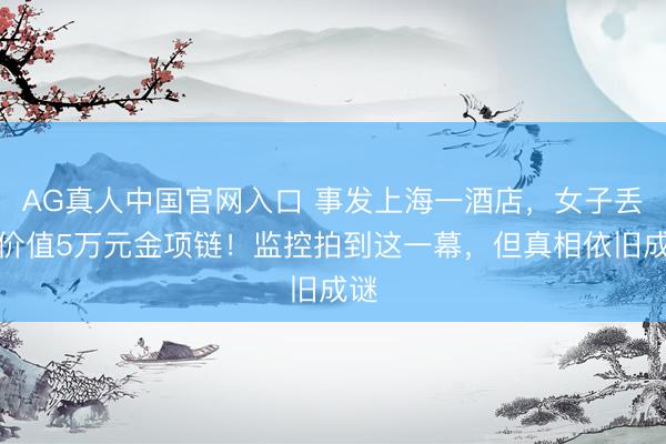 AG真人中国官网入口 事发上海一酒店,女子丢失价值5万元金项链!监控拍到这一幕,但真相依旧成谜